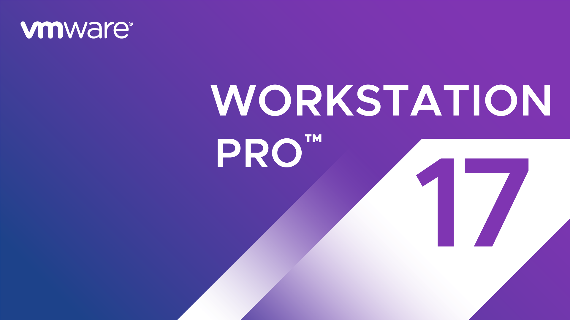 VMWare Workstation Pro 17 + Licencia Permanente [1 PC]